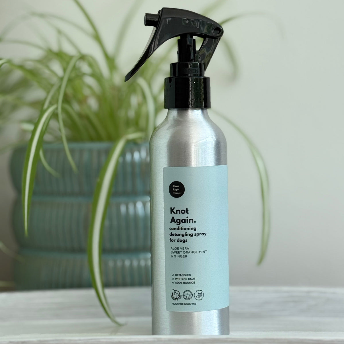 The Knot Again Detangling & Conditioning Spray | House of Cura
