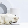 Smartpet Food Dispenser With Camera: App-Controlled Automatic Feeder For Dogs And Cats-4