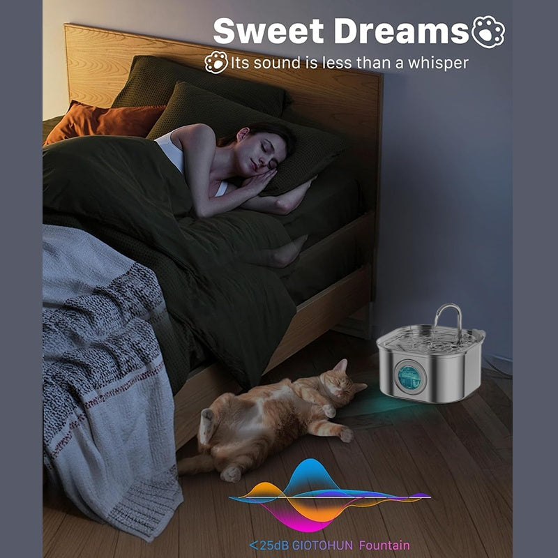 Woman sleeping in bed with a cat, next to a fountain labeled 'Sweet Dreams' and 'Giotoun'.
