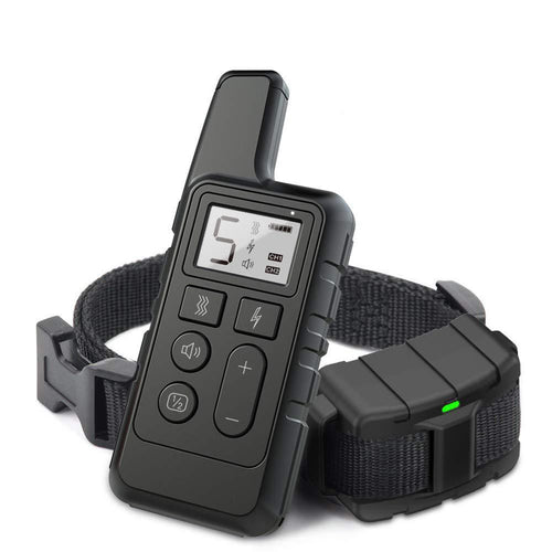 Dog training collar with remote control on a white background