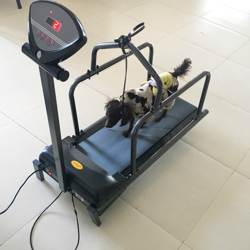 Dog on a treadmill with a control panel in a home setting