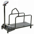 Foldable treadmill with handlebars on a white background