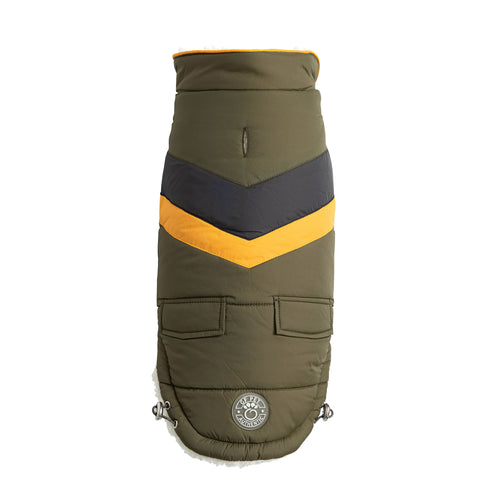 Dog coat with green, black, and yellow color pattern on a white background