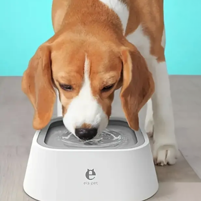 Dog drinking water from a white and gray elevated pet water bowl on a light blue background
