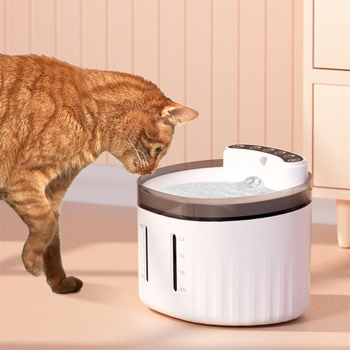 Cat drinking from a white pet water fountain on a light pink background