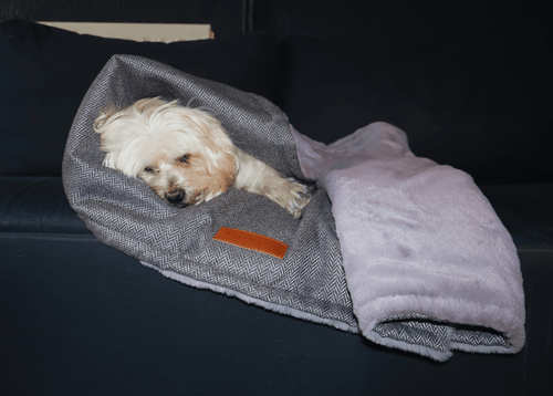 Dog lying in a gray pet bed with a blanket on a dark surface
