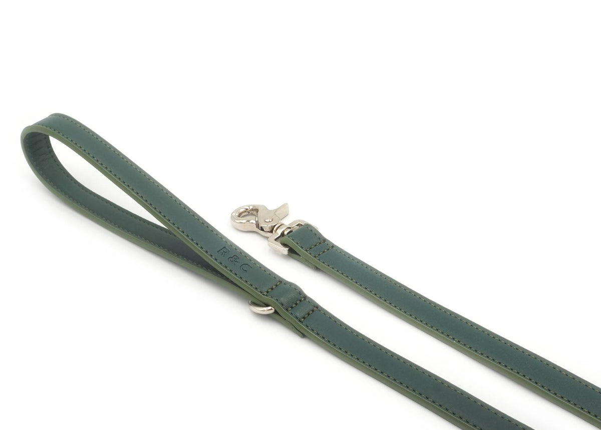 Green leather dog leash with silver clasp on a white background
