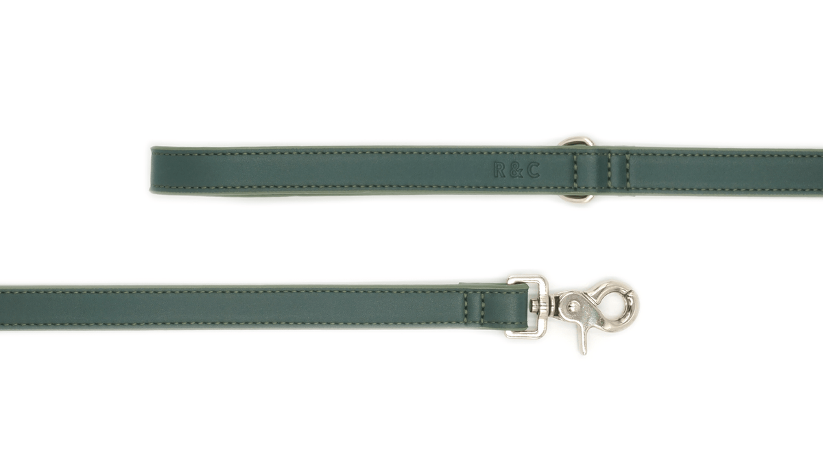 Green leather strap with silver hardware on a white background