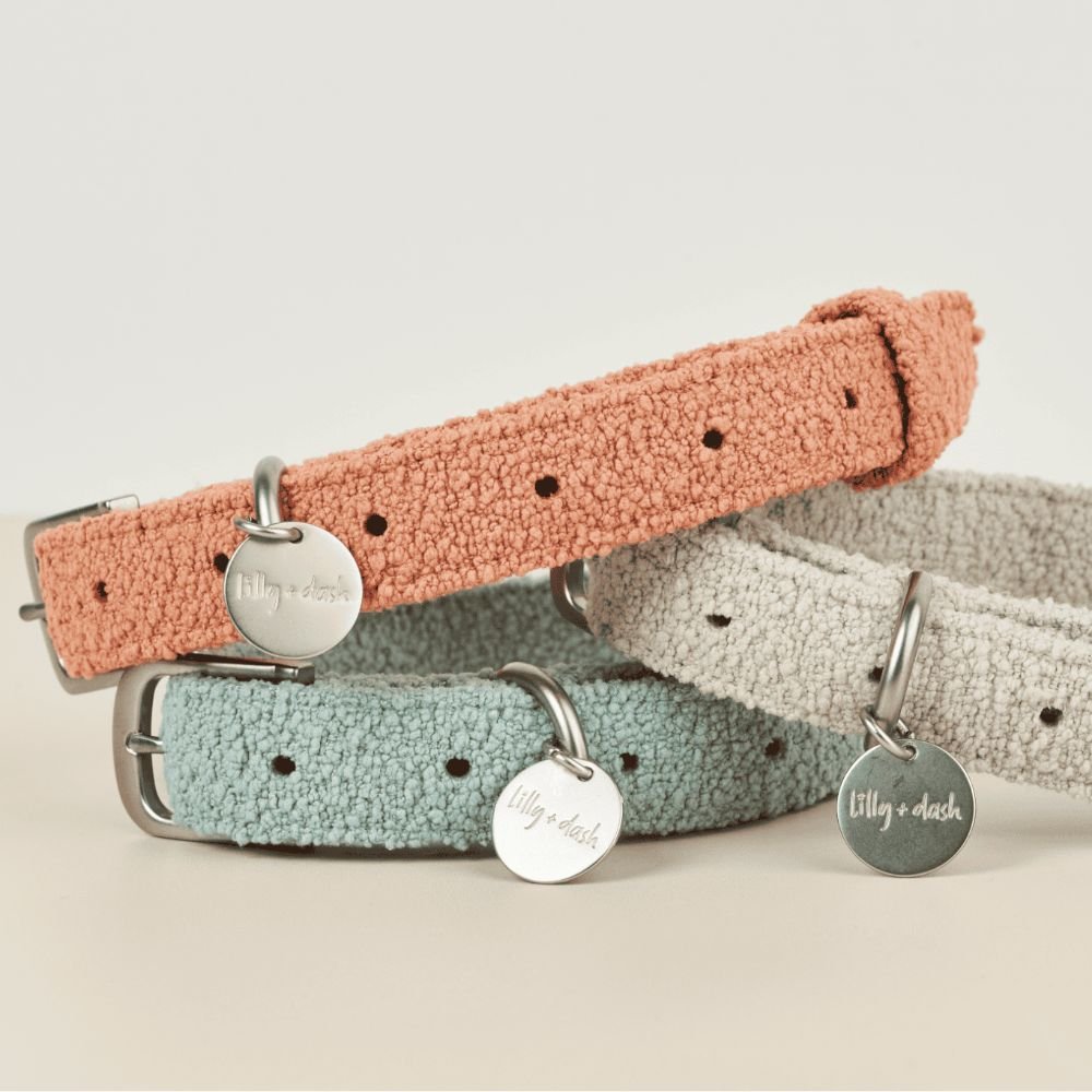Three dog collars in pink, blue, and gray with matching tags on a light background