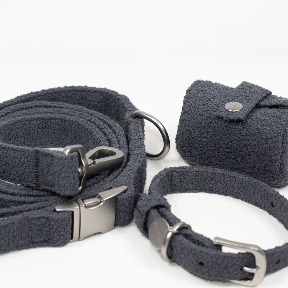 Dog leash, collar on a white background