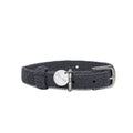 Gray dog collar with a silver buckle and tag on a white background