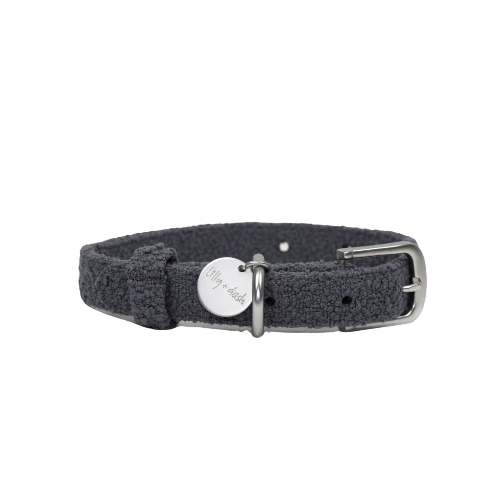 Gray dog collar with a silver buckle and tag on a white background