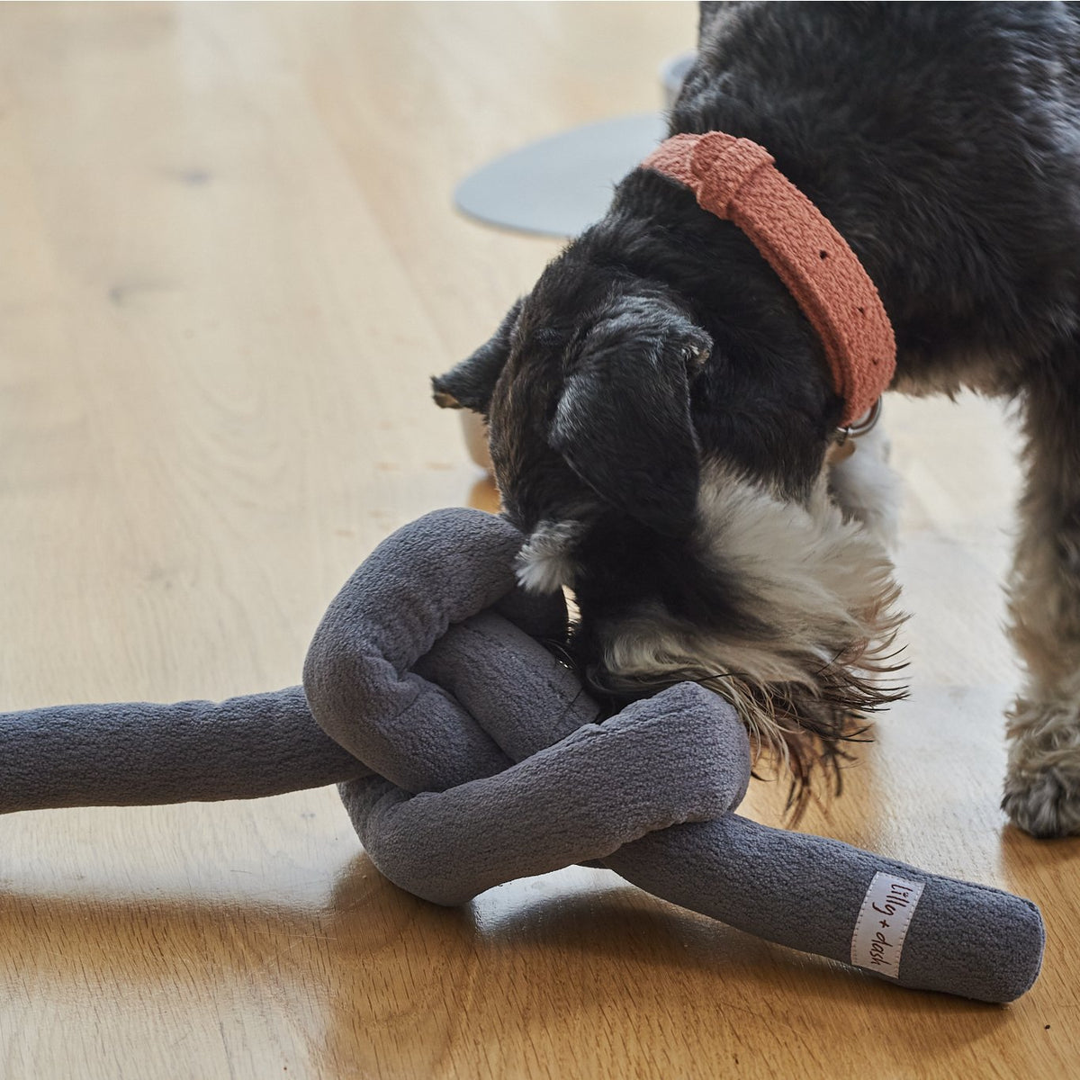 Dog playing with a gray knotted toy on a wooden floor