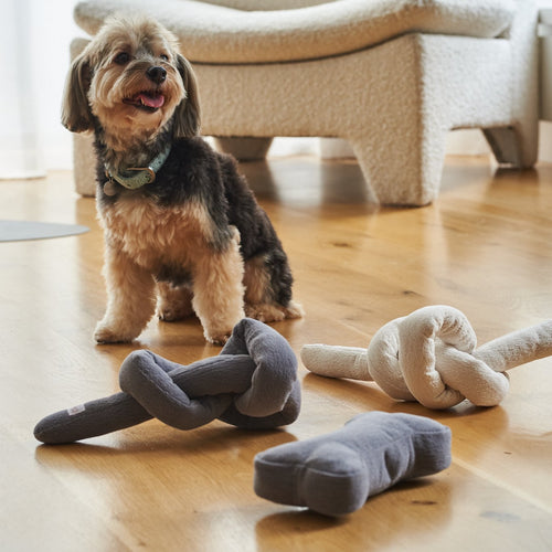 Dog standing next to two knotted dog toys on a wooden floor.