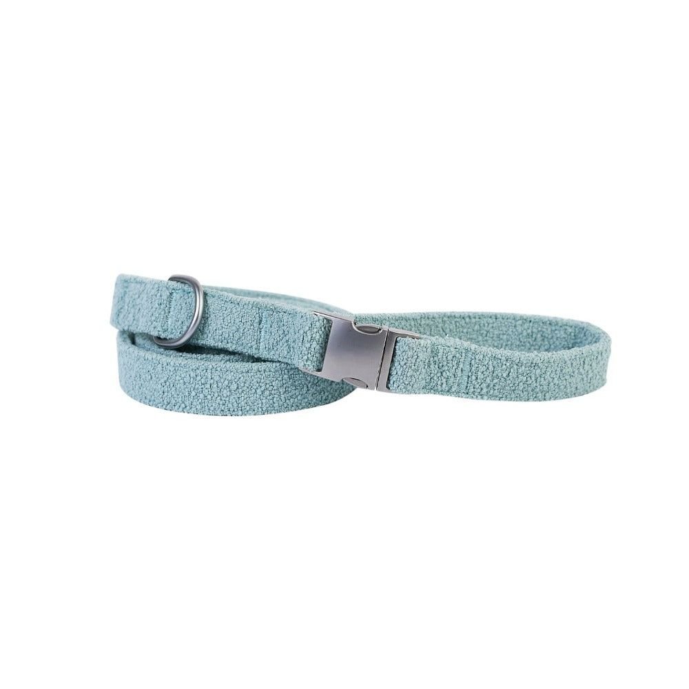 Light blue dog collar with a metal buckle on a white background