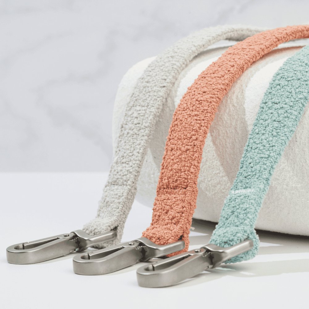 Three colorful dog leashes with metal clips on a light gray background
