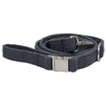 Dark gray dog leash with silver clasp on a white background