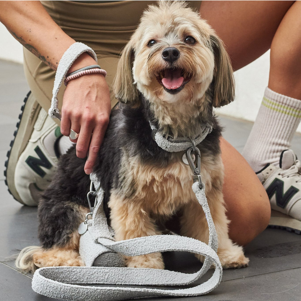 Dog on a leash with a person kneeling beside it on a concrete surface