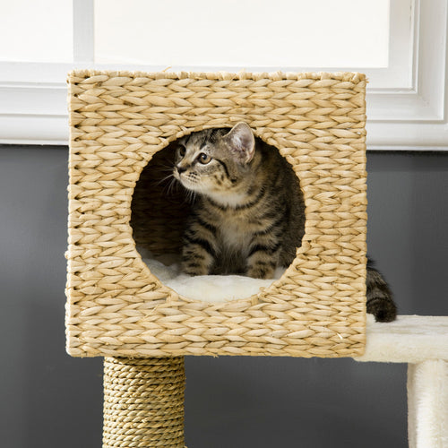 Cat sitting on a woven cat tree with a plain background