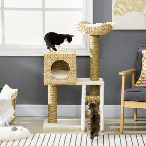 Cat playing on a multi-level cat tree in a home setting with a gray wall and window.