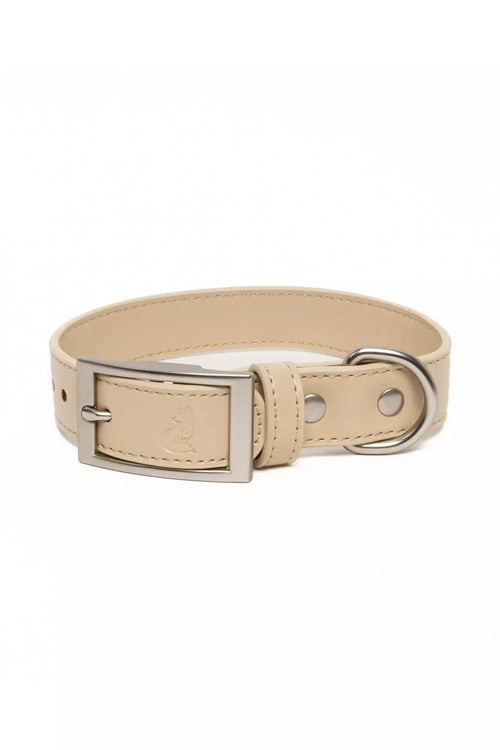 Beige leather dog collar with a silver buckle on a white background