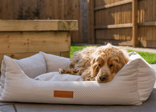 Dog lying on a textured pet bed outdoors with wooden furniture in the background