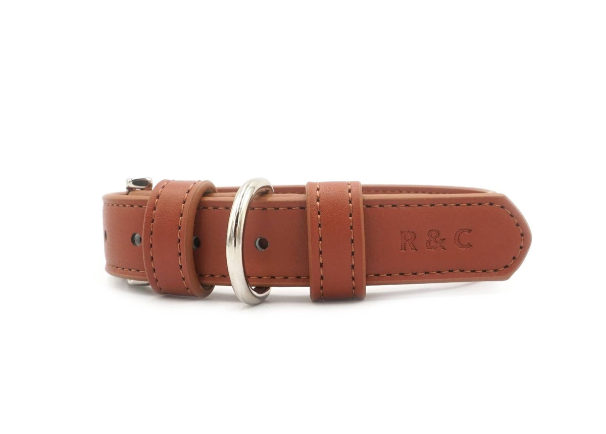 Brown leather dog collar with a silver ring on a white background