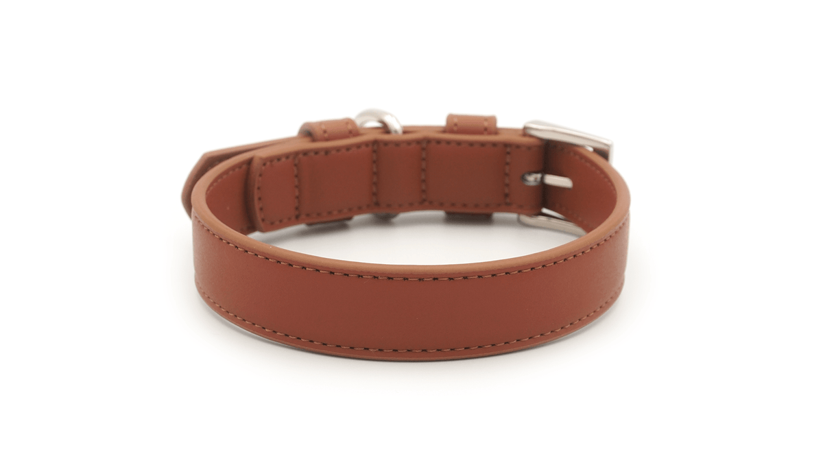 Brown leather dog collar on a white background