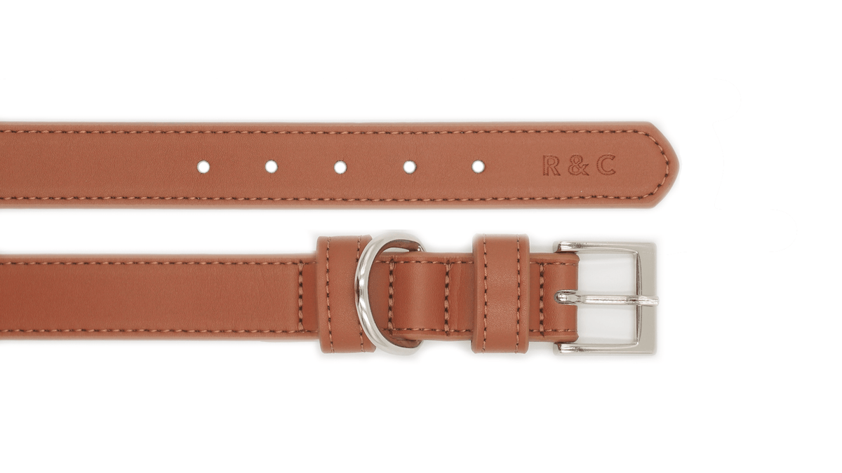Brown leather belt with silver buckle on a white background