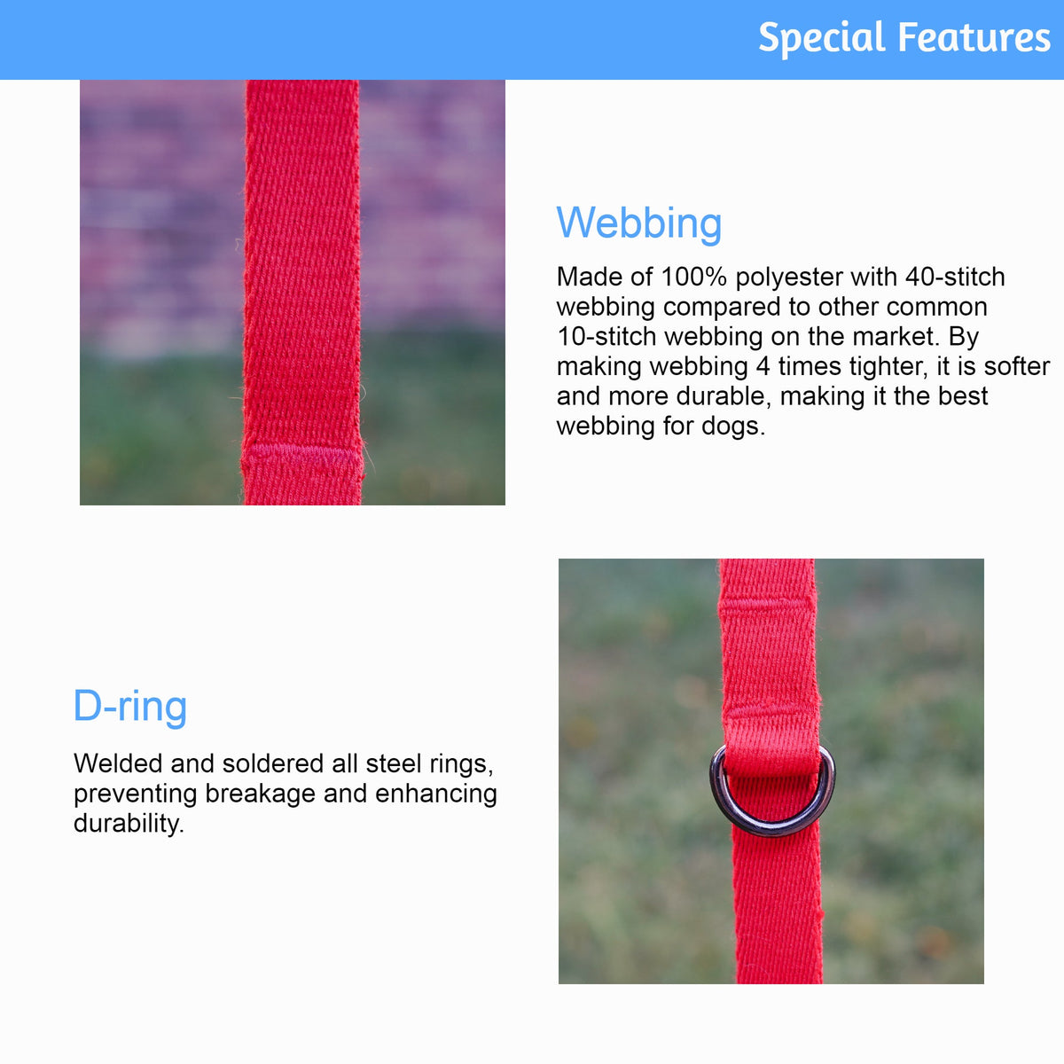 Red dog collar with webbing and D-ring feature details on a blue background