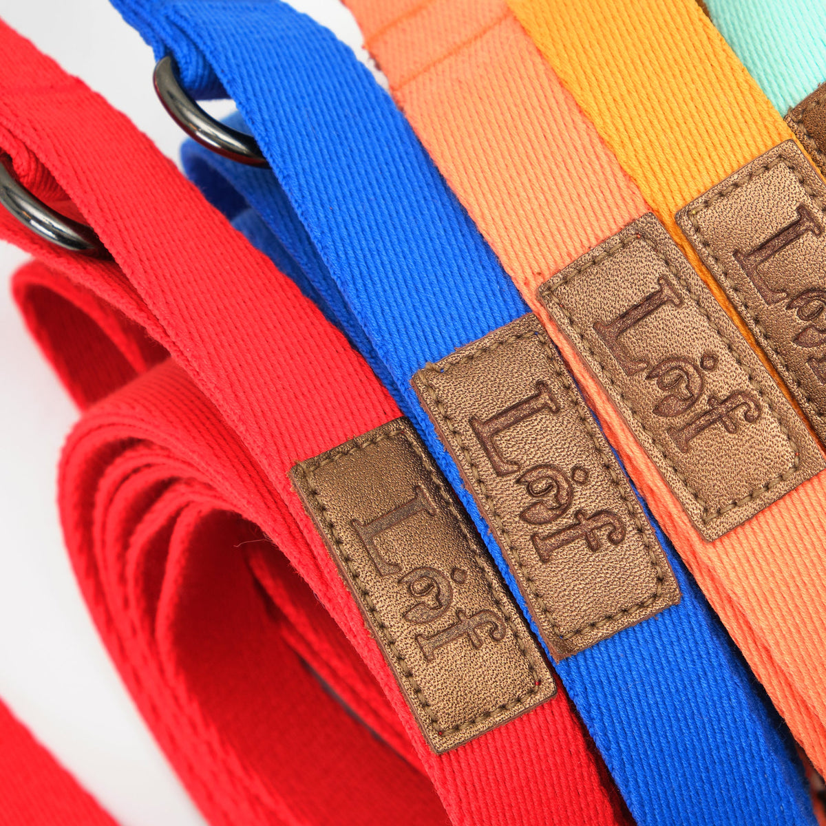 Set of colorful belts with brown leather patches displaying 'Léf' on a white background.