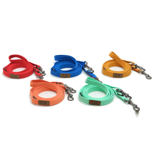 Set of colorful dog leashes on a white background