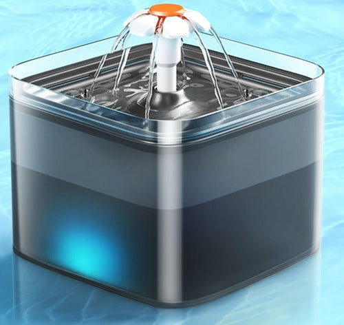 The Aura Hydration Ecosystem | House of Intel