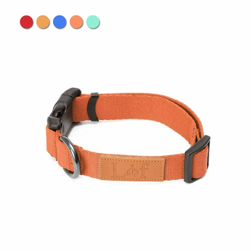 Orange dog collar with black hardware on a white background