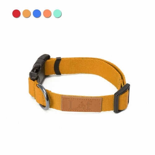 Yellow dog collar with black hardware on a white background