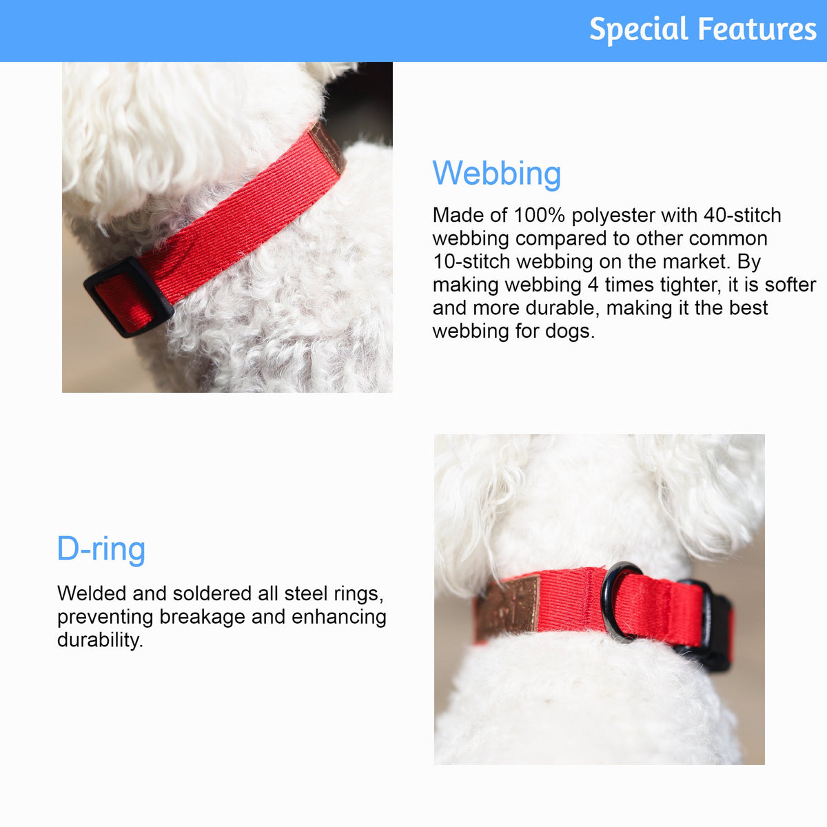 Red dog collar with webbing and D-ring feature on a white background