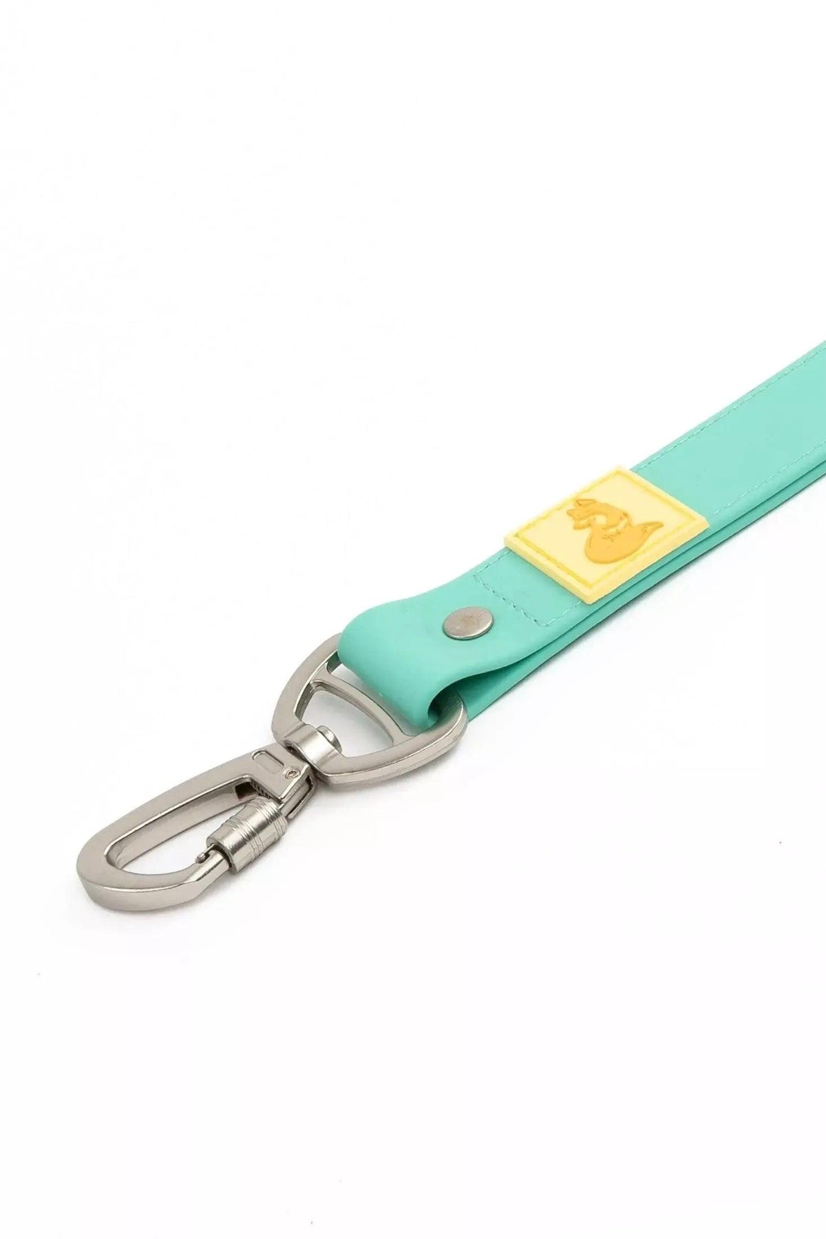 Teal dog leash with metal clip and yellow tag on a white background