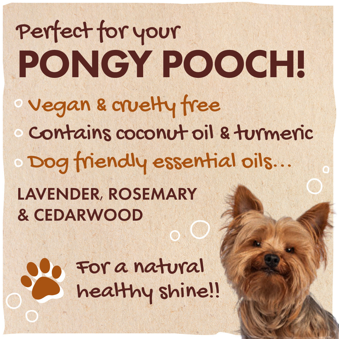 The Lavender, Rosemary & Cedarwood Dog Shampoo Bar | House of Cura