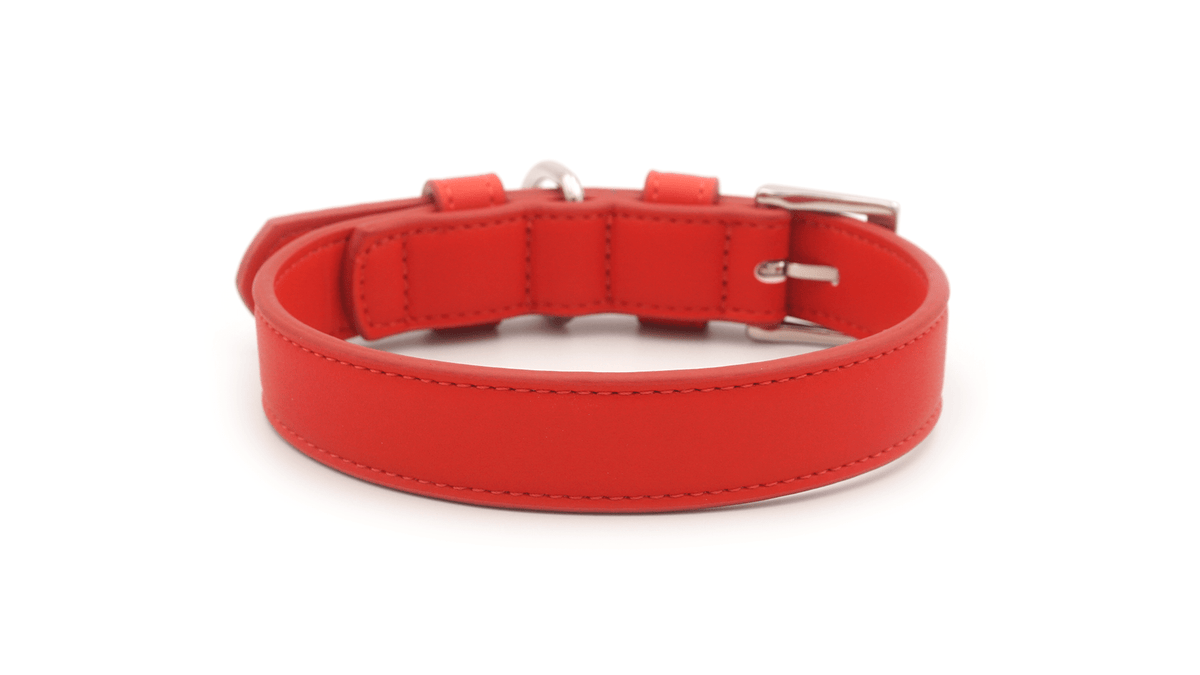 Red leather dog collar with a silver buckle on a white background