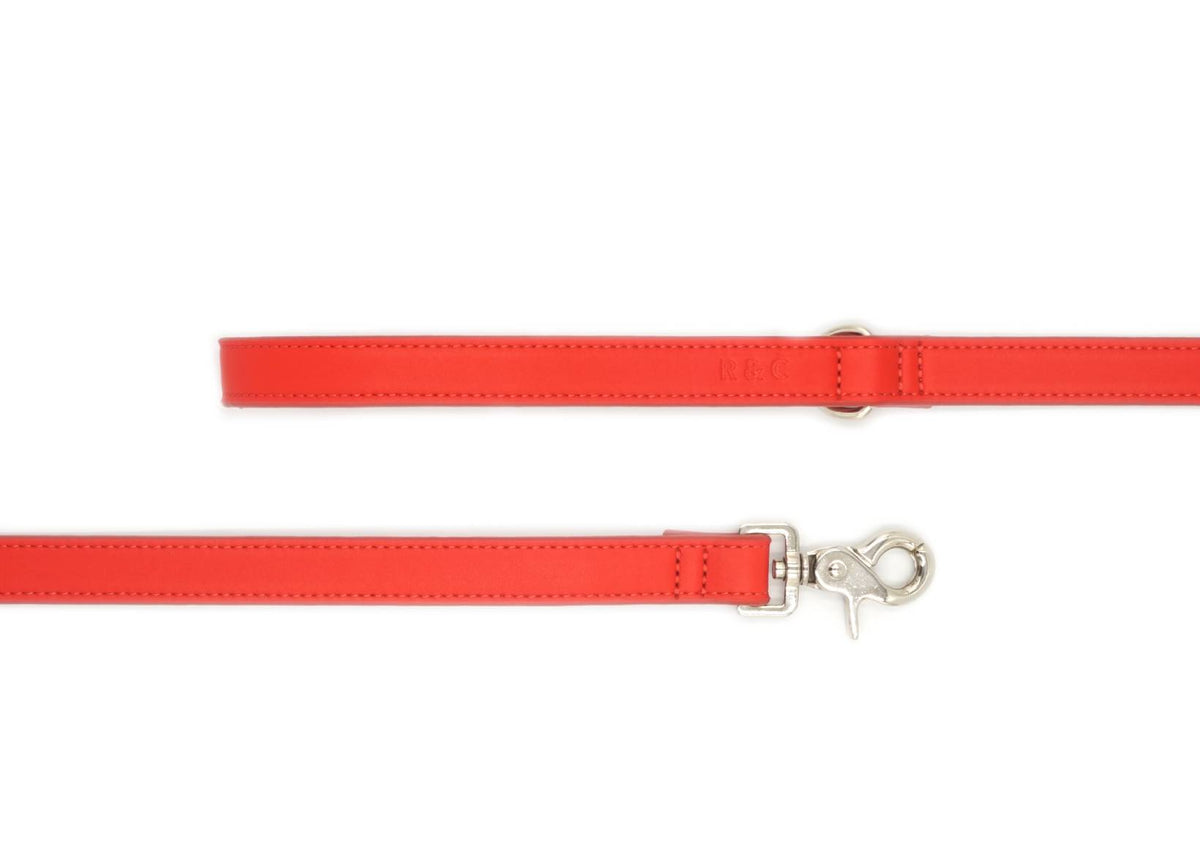 Red belt with silver buckle on a white background