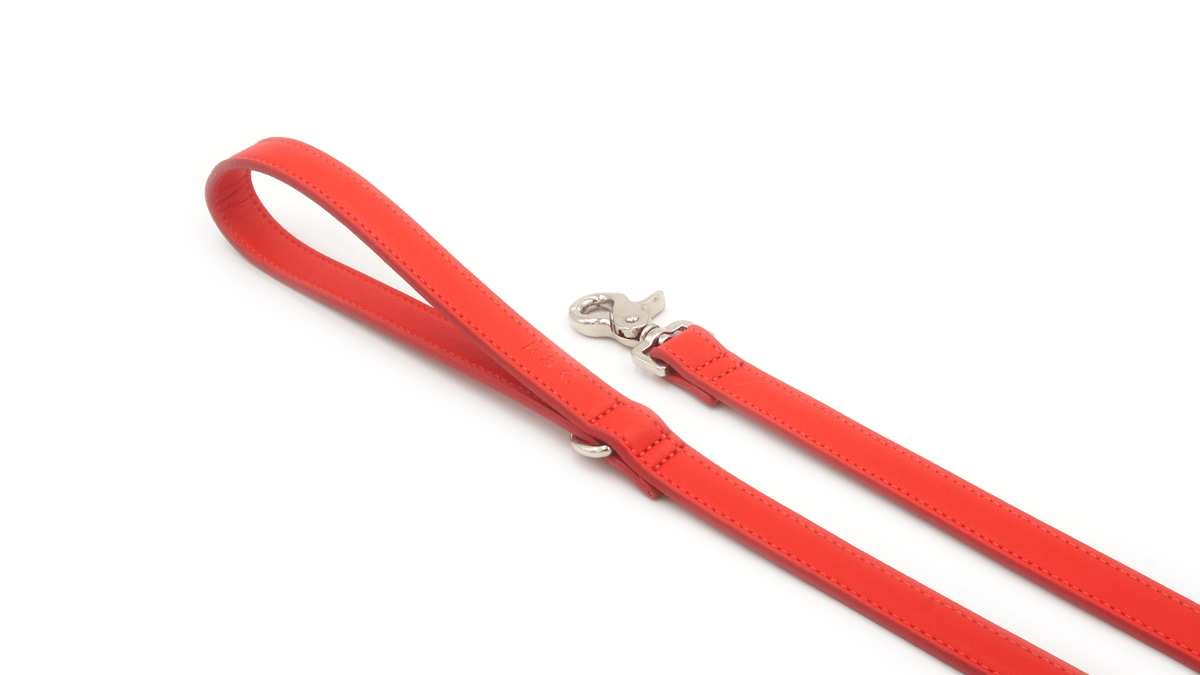 Red dog leash with a silver clip on a white background