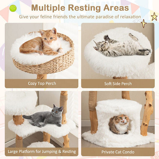 Solid Wood Cat Tower with Top Cattail Basket Cat Bed for Indoor Cats-White-2