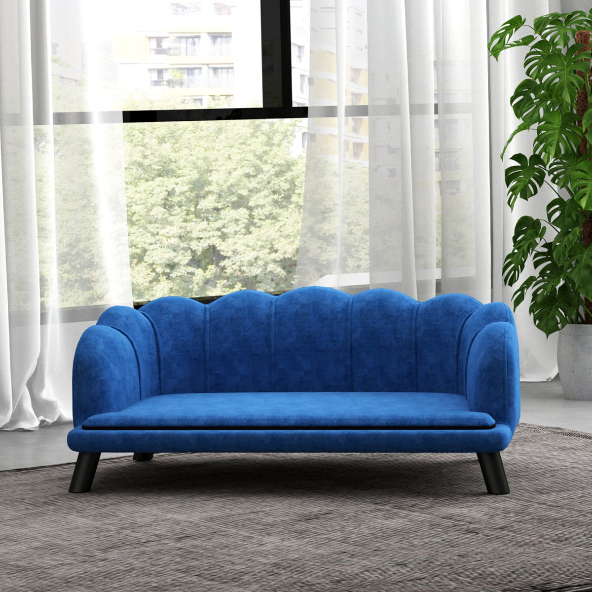 Blue sofa in a room with large windows and a plant