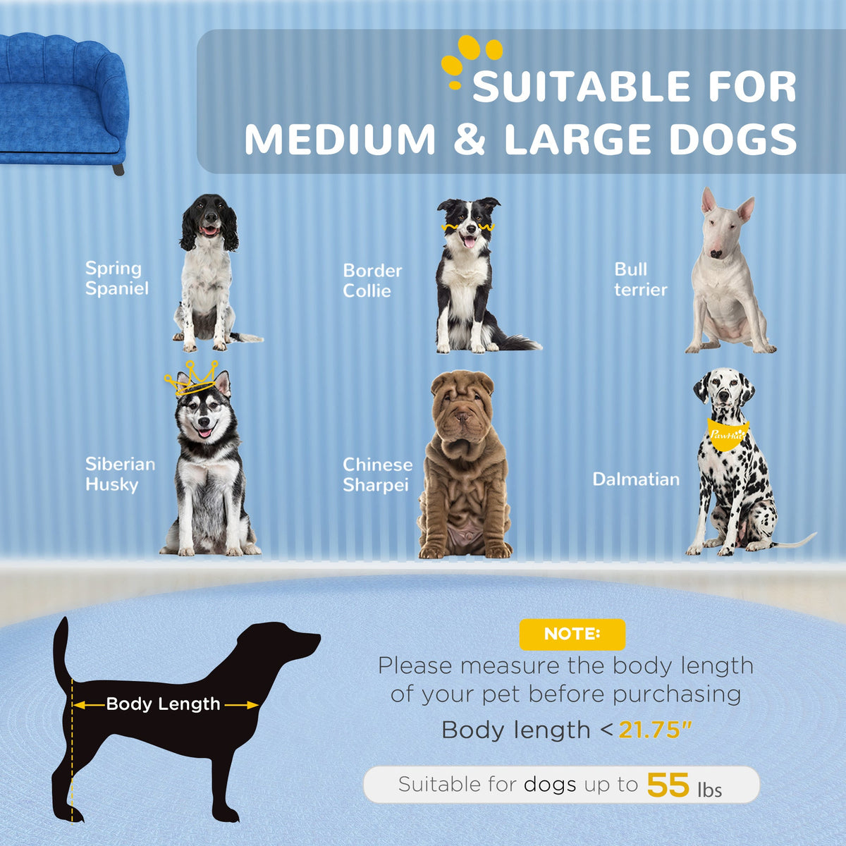 Dog product size chart suitable for medium and large dogs with images of various breeds on a blue background.