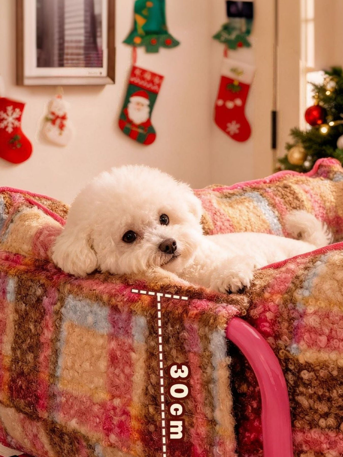 Small white dog lying on a colorful plaid blanket with Christmas stockings in the background.