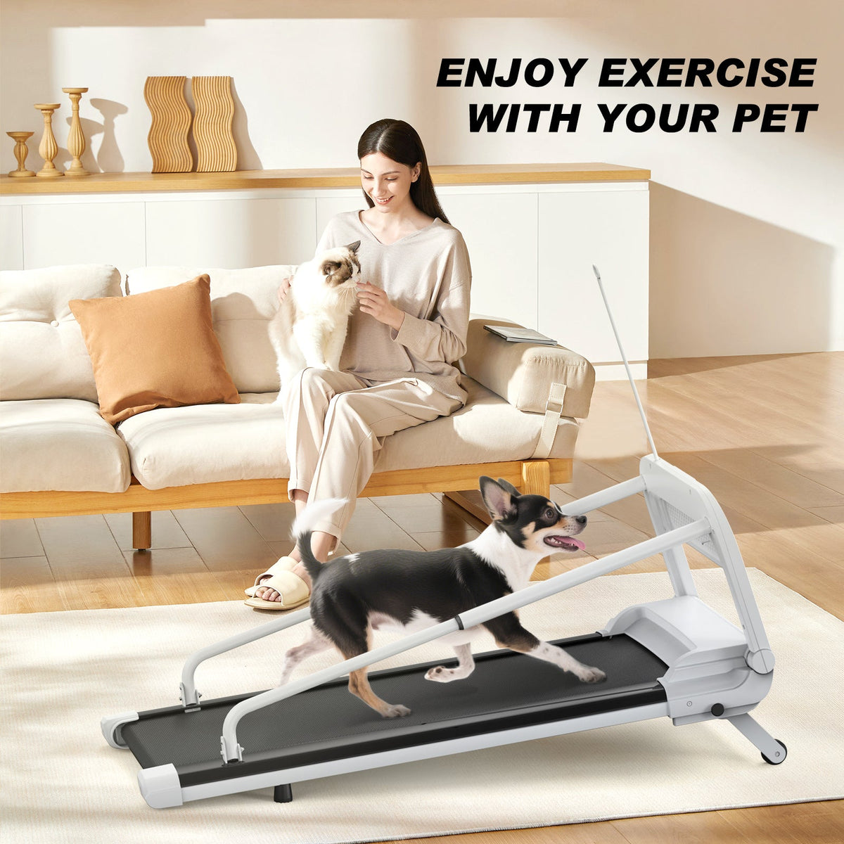 Woman sitting on a couch with a small dog on a treadmill in a living room.