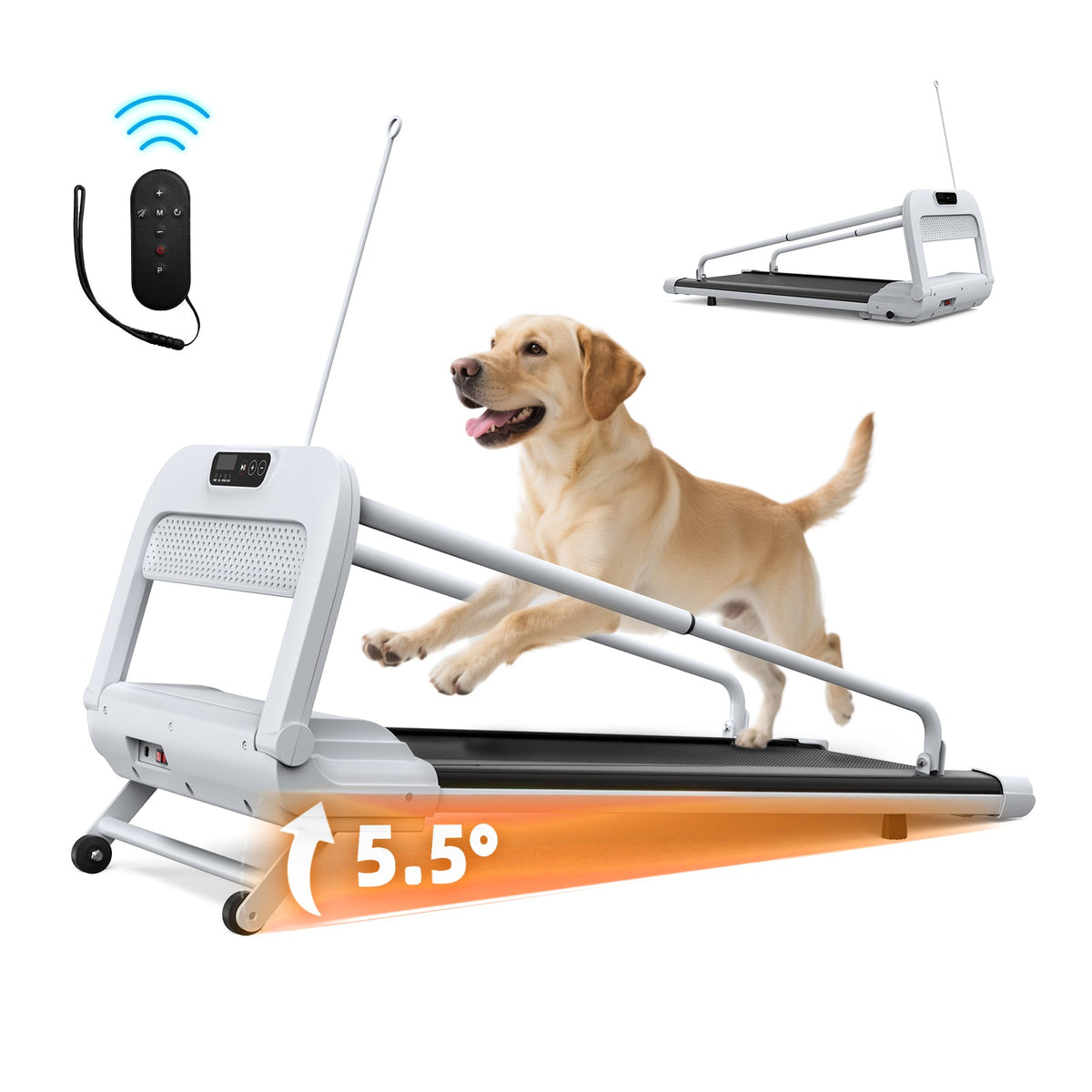 Dog on a treadmill with a remote control and incline setting displayed.