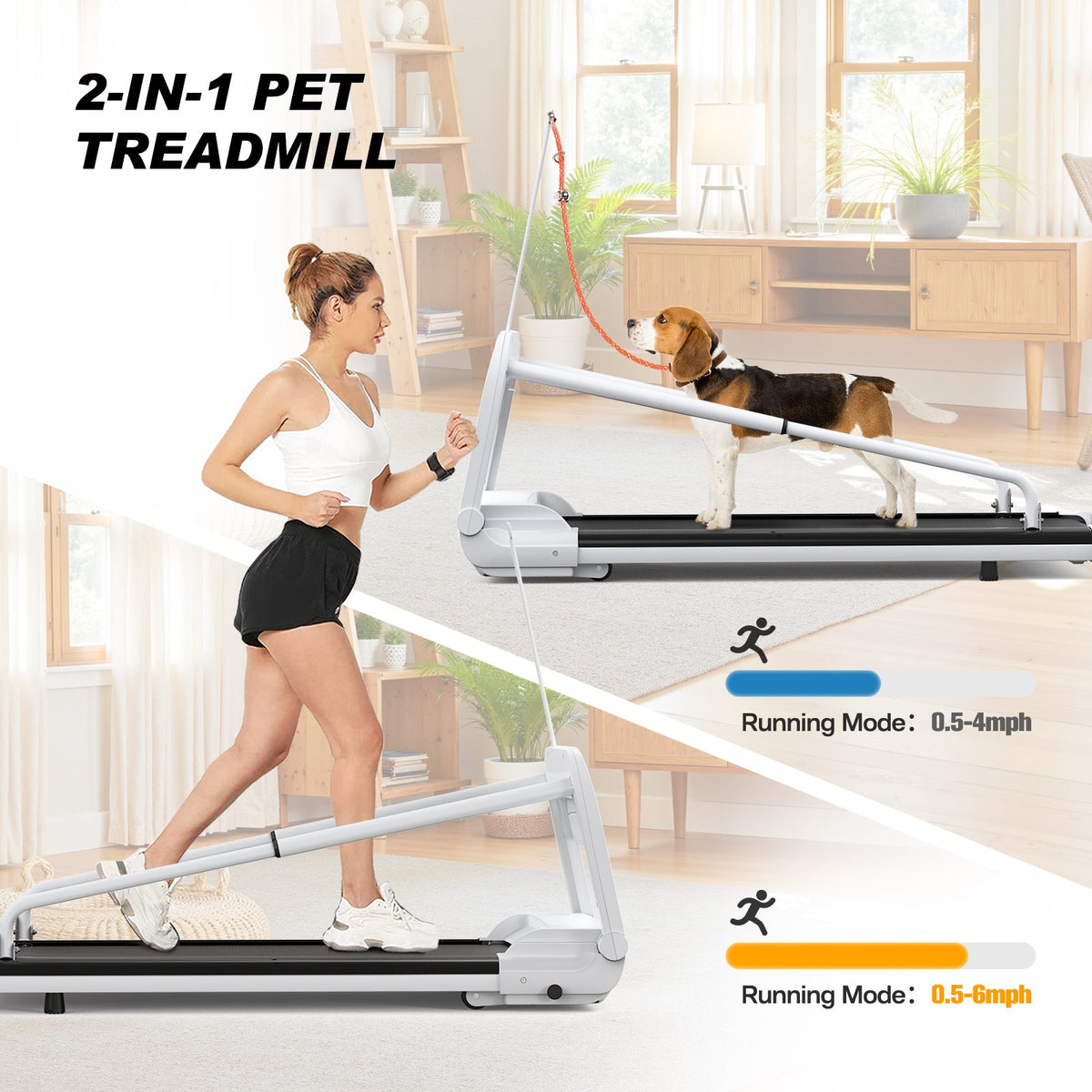 2-in-1 pet treadmill with a woman and dog using it in a home setting