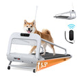Dog on a treadmill with control panel and remote on a white background