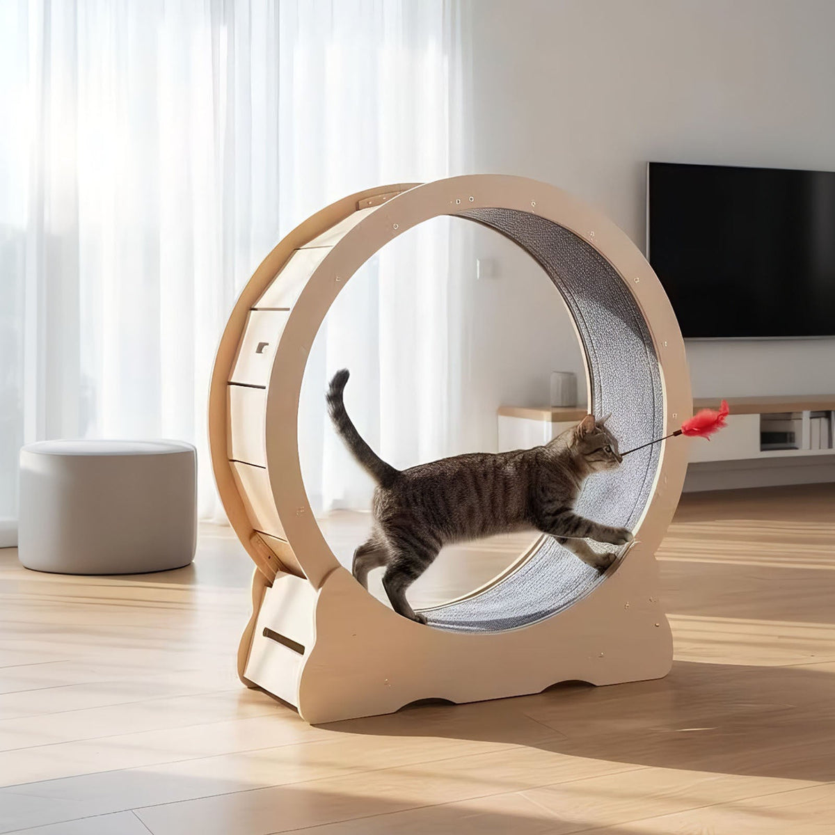 Cat playing with a toy inside a modern pet exercise wheel in a living room.